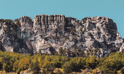 Plants growing on rock against sky