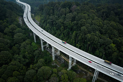 High angle view of road amidst trees