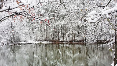 Scenic view of lake during winter