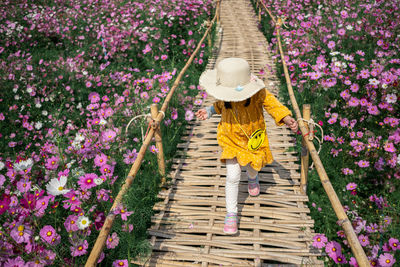 Cute childen yellow dress walk on wood bridge in the flower farm