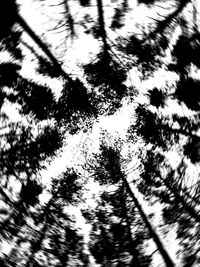 Defocused image of tree against sky