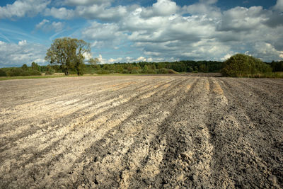 Large plowed field, horizon and clouds on the blue sky