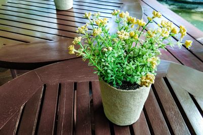 High angle view of potted plants on table