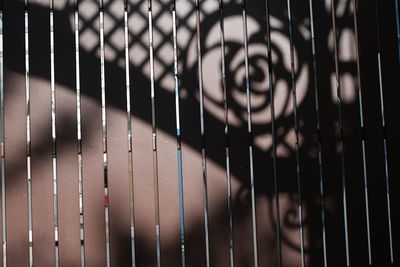 Close-up portrait of young man seen through fence