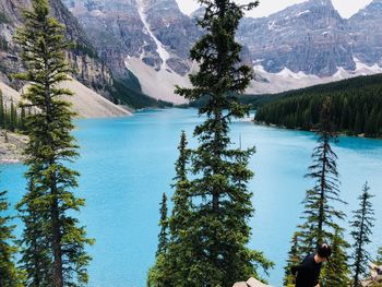 Scenic view of lake and trees in forest