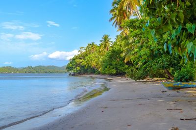 Scenic view of beach against sky