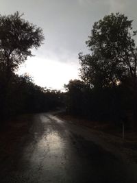 Road passing through trees