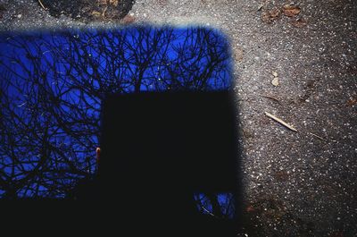 View of bare tree against purple sky