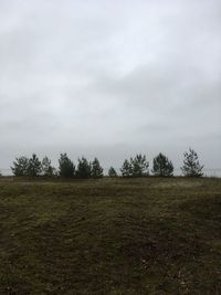 Trees on field against sky