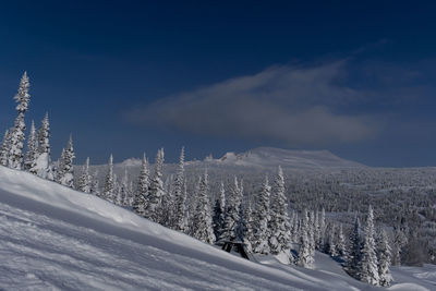 Sunny winter morning in the mountains of sheregesh on the ski track