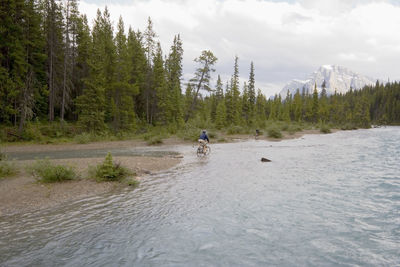 Man cycling by river amidst trees in forest against sky