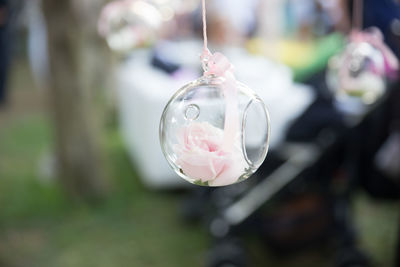 Close-up of pink flower hanging outdoors