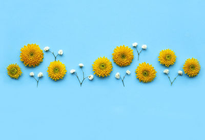 Close-up of yellow flowering plants against blue sky