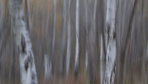 Close-up of waterfall