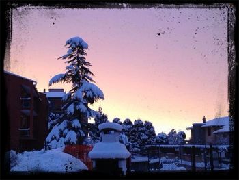 Houses at sunset