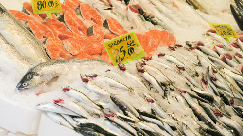 High angle view of fish for sale in market