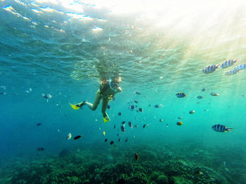 Young woman scuba diving undersea