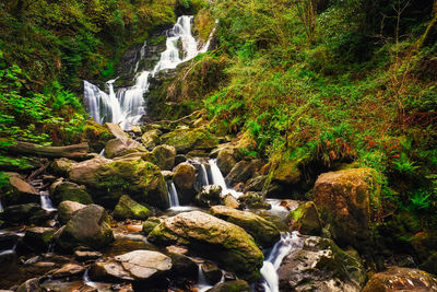 Scenic view of waterfall in forest