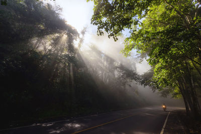 Silhouette motorbike riding on street with rays of light through tree forest