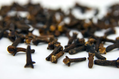 Close-up of cloves on white background