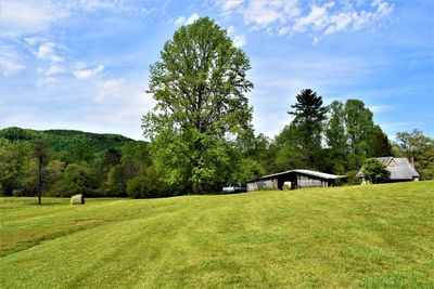 Scenic view of trees and houses on field against sky