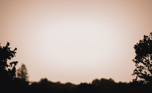 Low angle view of silhouette trees against sky at sunset