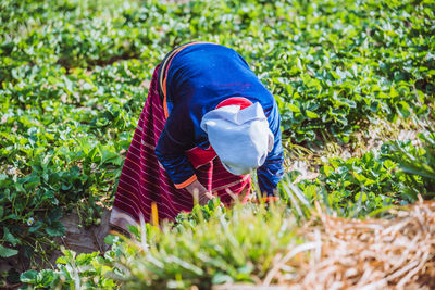 High angle view of woman working in field