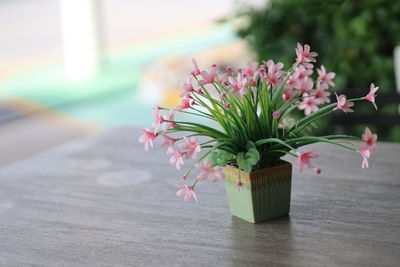 Close-up of pink flower vase on table