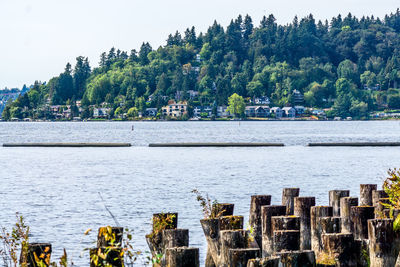 Waterfront homes near coulon park in renton, washington.