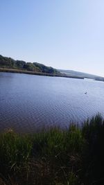 Scenic view of lake against clear sky