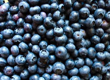 Close-up of blueberries