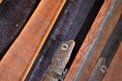 Full frame shot of rusty metal