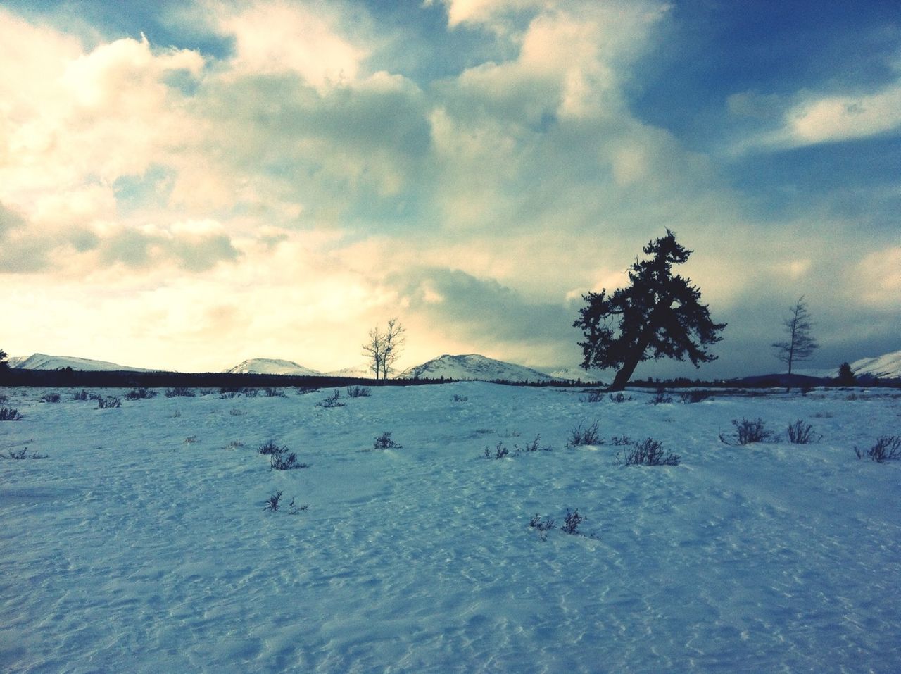 snow, winter, cold temperature, sky, tranquil scene, cloud - sky, tranquility, scenics, beauty in nature, nature, weather, tree, season, bare tree, landscape, cloud, cloudy, water, mountain, white color