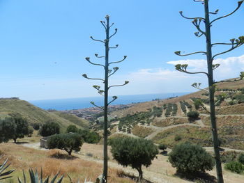 Scenic view of mountains against clear blue sky