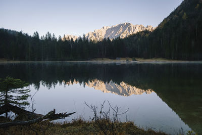 Scenic view of lake by trees against clear sky