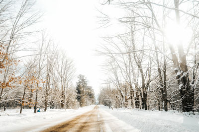 Road amidst bare trees during winter