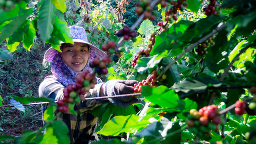 Portrait of woman wearing hat working in coffee farm