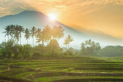 Morning view with morning sun over the mountain