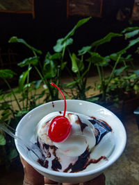 Close-up of ice cream on plate