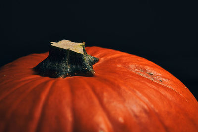 Close-up of pumpkin against black background