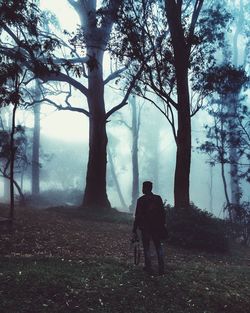 Rear view of silhouette man photographing in forest