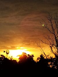 Silhouette plants against dramatic sky during sunset