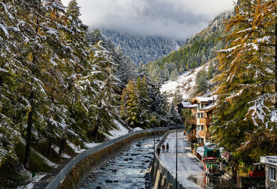 Road amidst trees and snowcapped mountains during winter