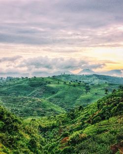 Scenic view of fields against cloudy sky