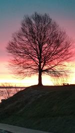 Bare tree on landscape against sky during sunset