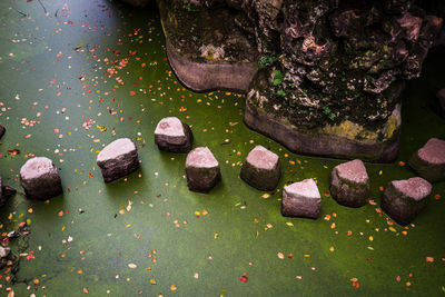 High angle view of stones on table