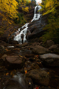 Scenic view of waterfall in forest