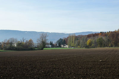 Scenic view of field against sky