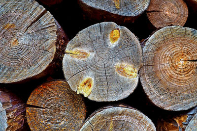 Full frame shot of logs in forest