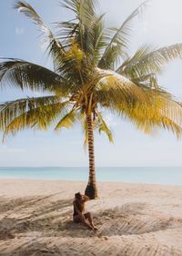 Young woman sitting by palm tree on sandy beach